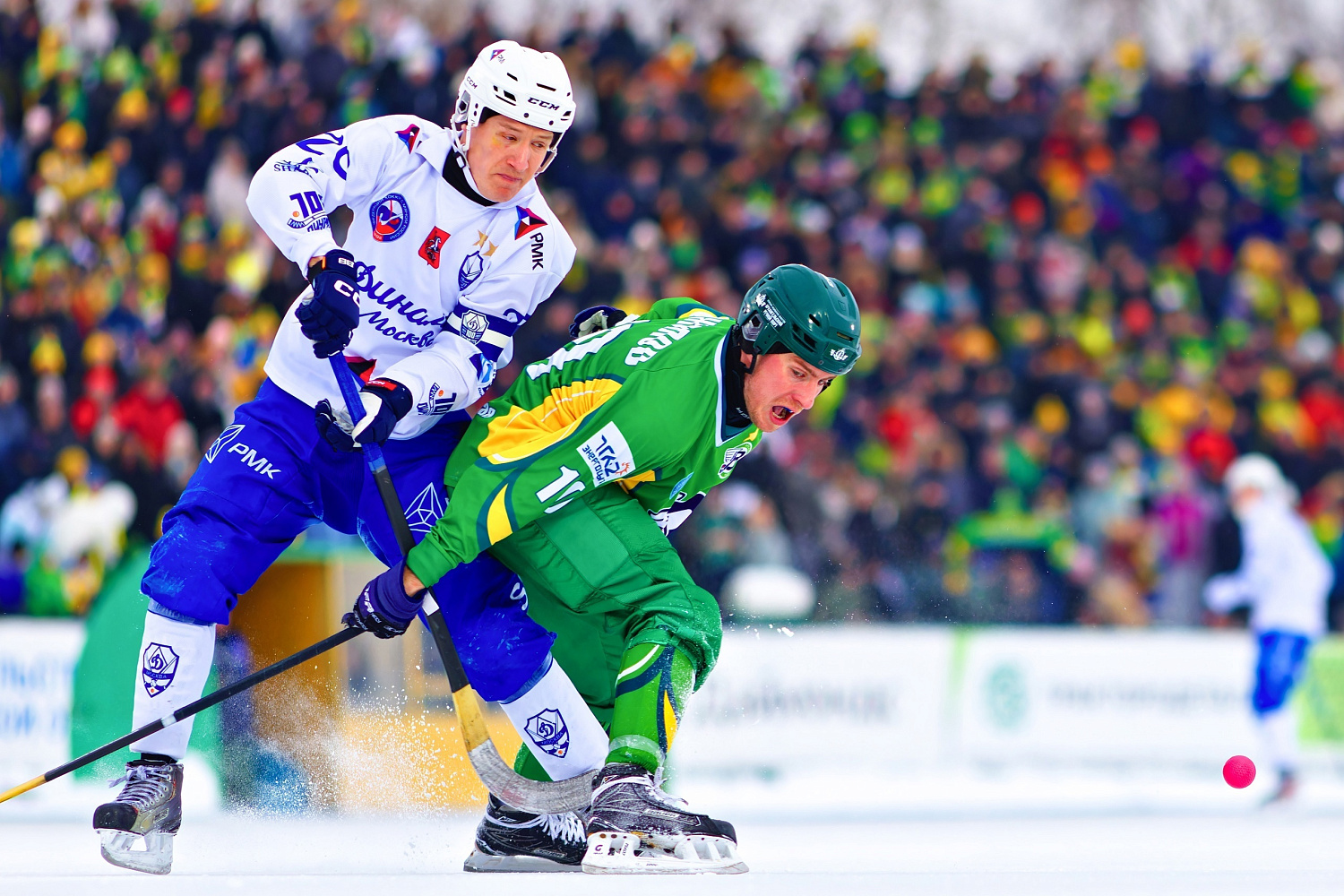 Поддержка развития спорта и физкультуры в регионе